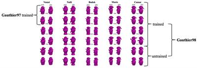 Is increased activation in the fusiform face area to Greebles a result of appropriate expertise training or caused by Greebles' face likeness?